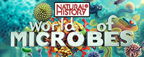 World of Microbes (Natural History)